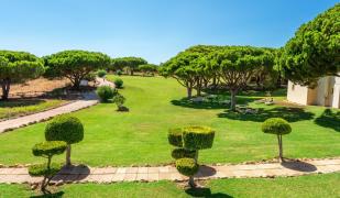 Olhos De Água Olhos De Água