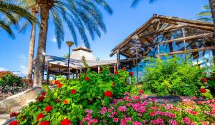 Costa Calma Costa Calma