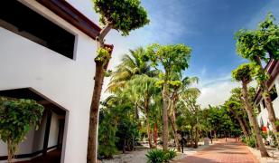 Van der Valk Plaza Beach & Dive Resort Bonaire Van der Valk Plaza Beach & Dive Resort Bonaire