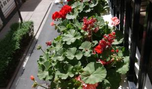 Maravillas Del Mundo