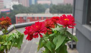 China - Peking (Beijing)