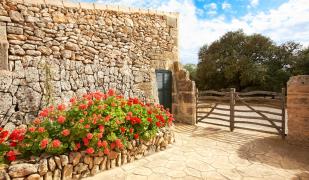 Es Puig de Ros d'Alt