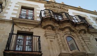 Casa Palacio de los Leones