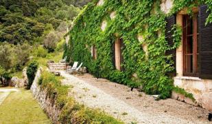 Mirabo de Valldemossa