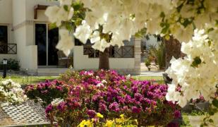 Hurghada Coral Beach Hotel