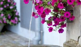 Bern & Berner Oberland