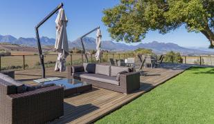 The Salene The Salene