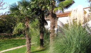 Apartments Oaza Regi Apartments Oaza Regi