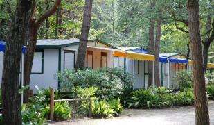 Holiday Center Valdor