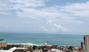 Studio Iracema Studio Iracema