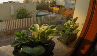 Exodus Hostel & Dive Center