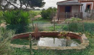 Playa De Migjorn Playa De Migjorn