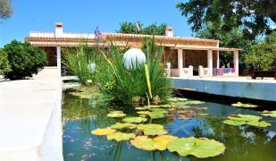 Es Marroig Es Marroig