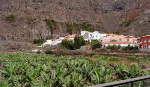 DanySer Suites Vacacionales DanySer Suites Vacacionales