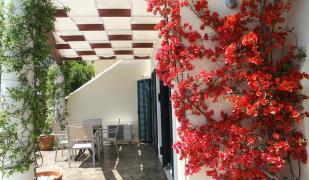 Elysium Apartments Corfu Elysium Apartments Corfu