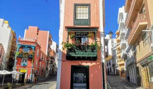 Sweet Tabaiba "by henrypole home"