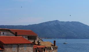 House Dijana House Dijana