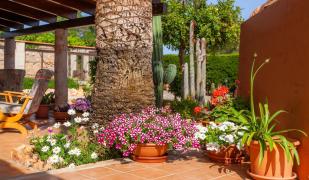 Ses Salines cottage with private pool and barbecue