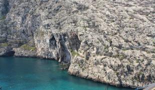 Avalon Bellevue Homes