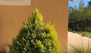 Leremo Luxury Messonete