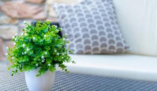 Affittacamere Bardolino