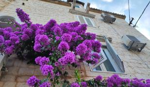 Carol Rooms Guesthouse Carol Rooms Guesthouse