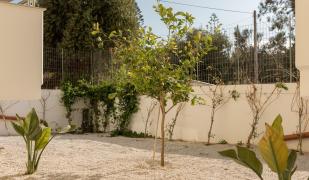 Evriali Comfort Living