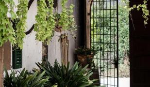 Hotel Son Boronat Hotel Son Boronat