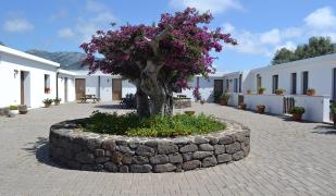 Agriturismo Vistamare