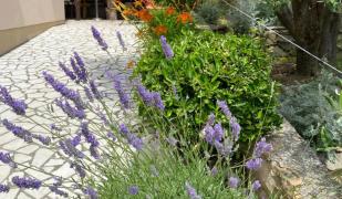 Apartments Vesna Apartments Vesna