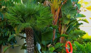 Beautiful Holiday Home - Miraflores Mijas Costa