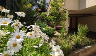 ES GANXO HOUSE PORTO CRISTO ES GANXO HOUSE PORTO CRISTO