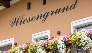 Wiesengrund