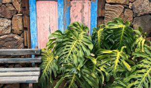 My Ocean - Cliff & Ocean View My Ocean - Cliff & Ocean View