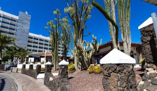 Beautiful View Appartement Los Gigantes