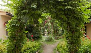 Hotel Novecento Hotel Novecento