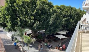 PLAZA - Exceptional Location