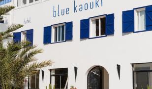 Blue Kaouki Hotel