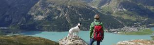 Hund, Wandern, Berge, See