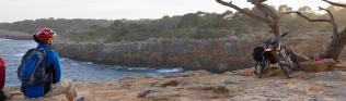 Radfahren, Fahrrad, Baum, Küste, Sonnenuntergang Mallorca