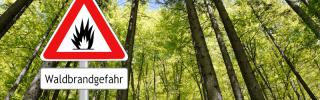 30 Grad in Griechenland: Waldbrandgefahr schon jetzt hoch