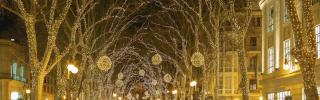 Mallorca im Weihnachtsmodus: Palma erstrahlt im festlichen Glanz