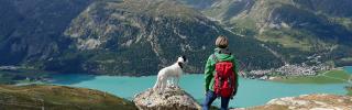 Wandern mit Hund: Gut vorbereitet auf Wandertour gehen