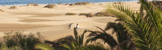 Gran Canaria: Strenge Verhaltensregeln für Touristen eingeführt