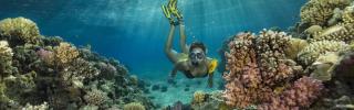 Fotografieren verboten: Thailand erlässt neue Regeln fürs Schnorcheln und Tauchen