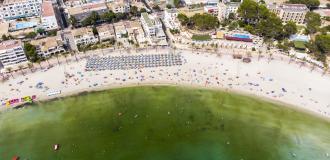 Playa Palmira Paguera