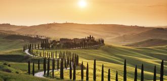 Geschwungene Straße gesäumt von Zypressen, die zu einem Gutshof in der toskanischen Landschaft führt, beleuchtet von der warmen Abendsonne.