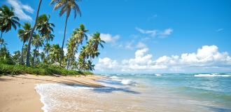 Strand, Meer, Palmen Brasilien: Bahia (Salvador da Bahia)