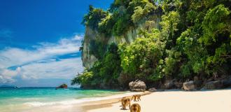 Monkey Beach Insel Koh Pee Pee (Phi Phi)