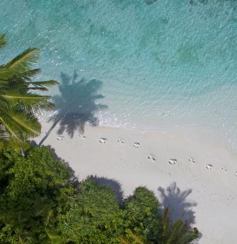 Strand, Palmen, Fußspuren Malediven